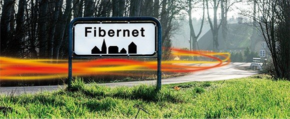 fiber